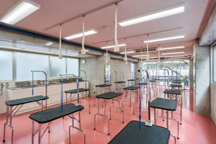 明成建設工業 様 撮影実績 建築写真と竣工写真の撮影 イエフォト 明成建設工業 様 撮影実績 建築写真と竣工写真の撮影 イエフォト