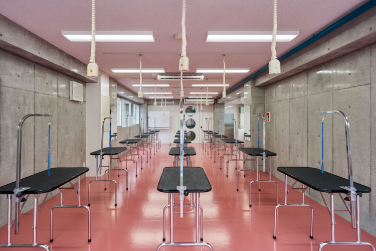 明成建設工業 様 撮影実績 建築写真と竣工写真の撮影 イエフォト 明成建設工業 様 撮影実績 建築写真と竣工写真の撮影 イエフォト